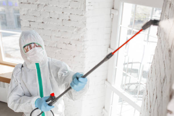 Trusted Gearhart, OR Mold Removal Experts